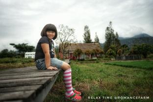 The Red House in Pai